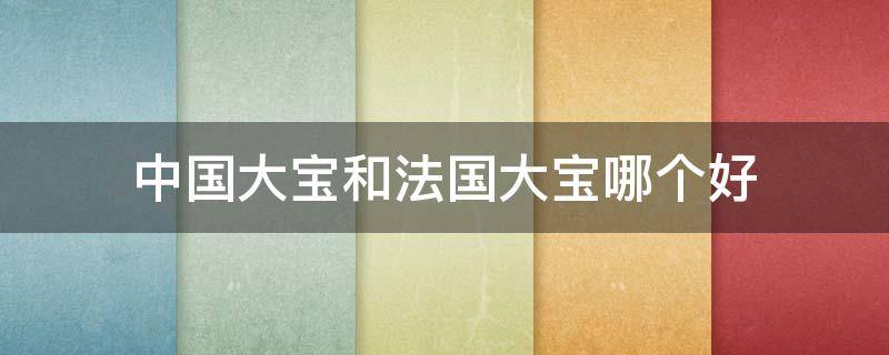 中国大宝和法国大宝哪个好 中国大宝和法国大宝哪个好一点