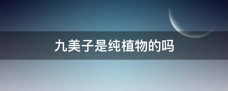 九美子是纯植物的吗 九美子怎么样