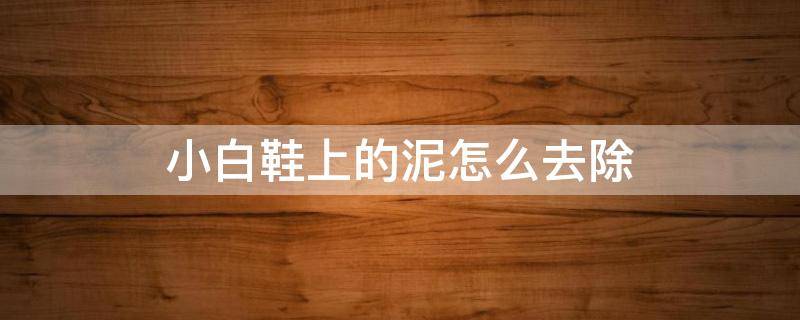 小白鞋上的泥怎么去除（小白鞋上的泥渍怎么去掉）