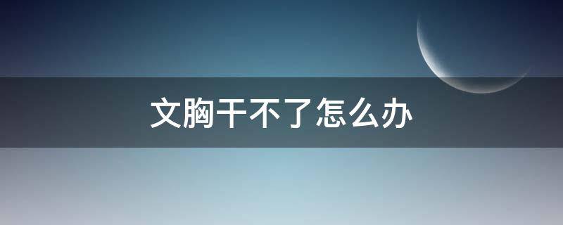 文胸干不了怎么办 文胸没干可以用吹风吹吗