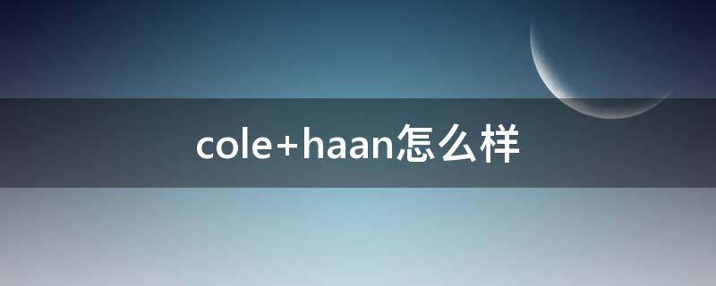 cole haan怎么样