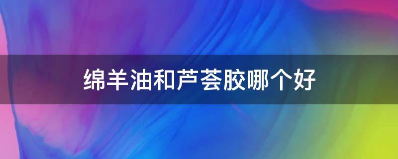 绵羊油和芦荟胶哪个好（绵羊油和芦荟胶能一起用吗）