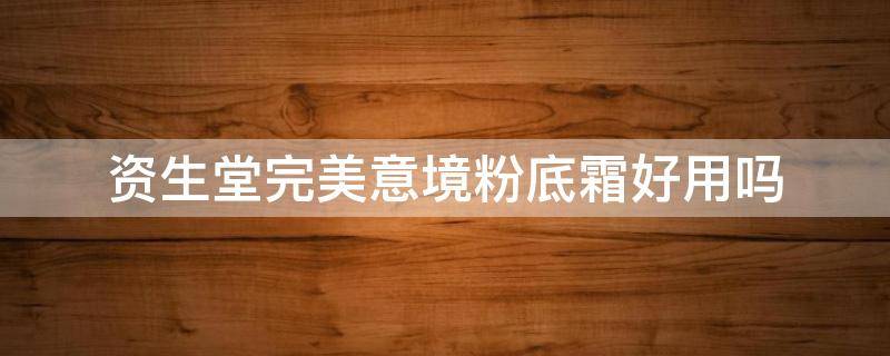 资生堂完美意境粉底霜好用吗