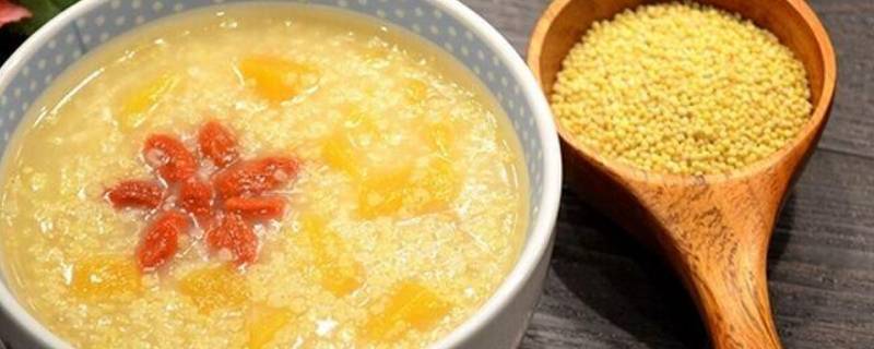 小米是什么农作物（小米是什么农作物图片）