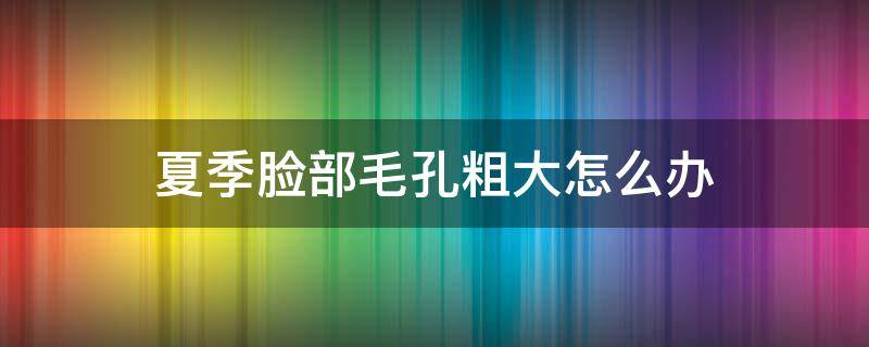 夏季脸部毛孔粗大怎么办（夏季脸部毛孔粗大怎么办图片）