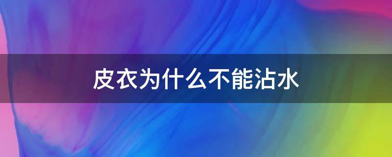 皮衣为什么不能沾水（皮衣为什么不能沾水呢）