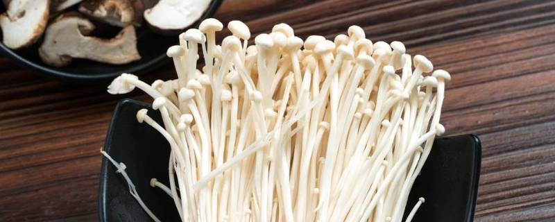 金针菇二次生长能吃吗 金针菇二次生长能吃吗图片