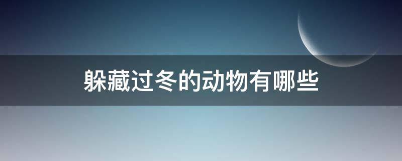 关于鲸鱼的唯美昵称（关于鲸鱼的唯美昵称大全）