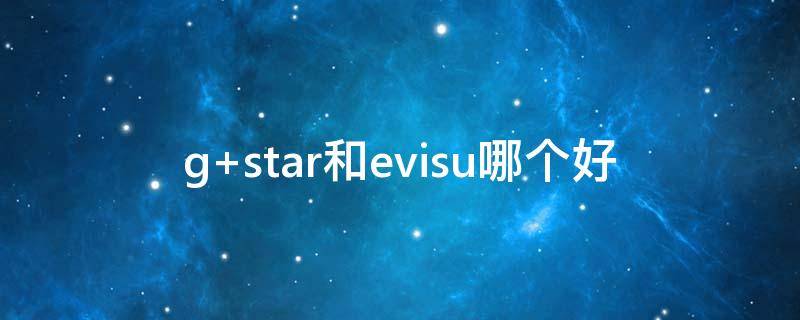 g star和evisu哪个好