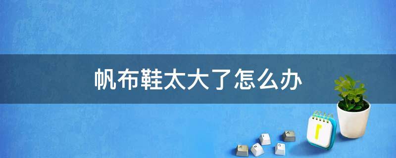 帆布鞋太大了怎么办 帆布鞋太大了怎么办妙招