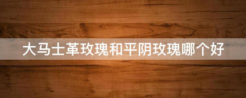 大马士革玫瑰和平阴玫瑰哪个好 大马士革玫瑰纯露和平阴玫瑰纯露的区别
