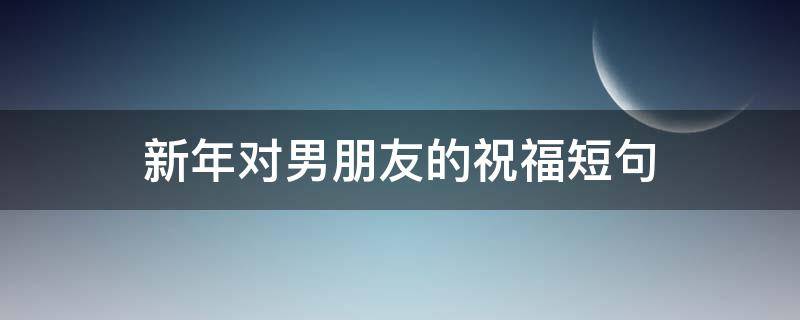 新年对男朋友的祝福短句（新年对男朋友的祝福短句子）