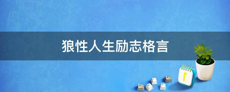 狼性人生励志格言（狼性人生励志格言短句）