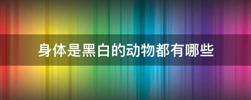 身体是黑白的动物都有哪些 身体是黑白的动物都有哪些图片