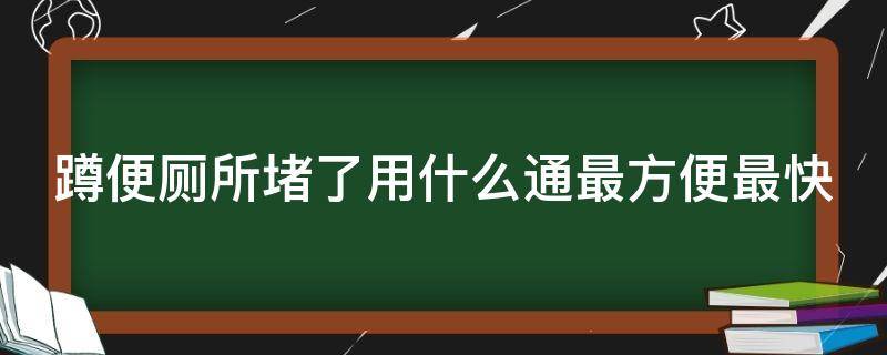 蹲便厕所堵了用什么通最方便最快（蹲厕堵了用什么疏通最好）
