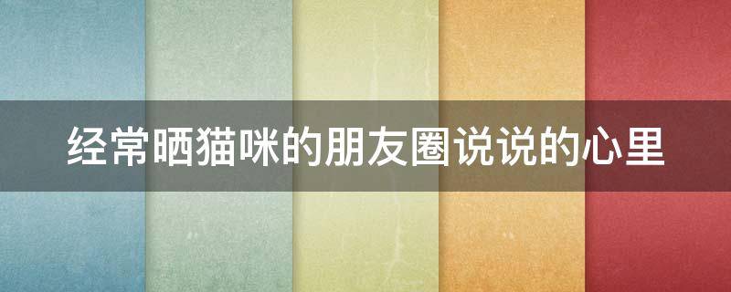 经常晒猫咪的朋友圈说说的心里 朋友圈经常晒猫的女人幸福吗