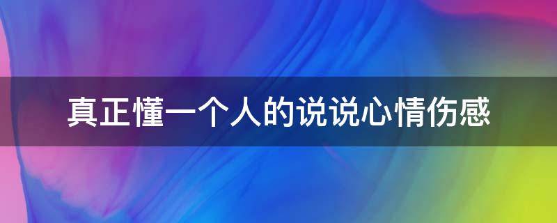 真正懂一个人的说说心情伤感 懂一个人说说的句子