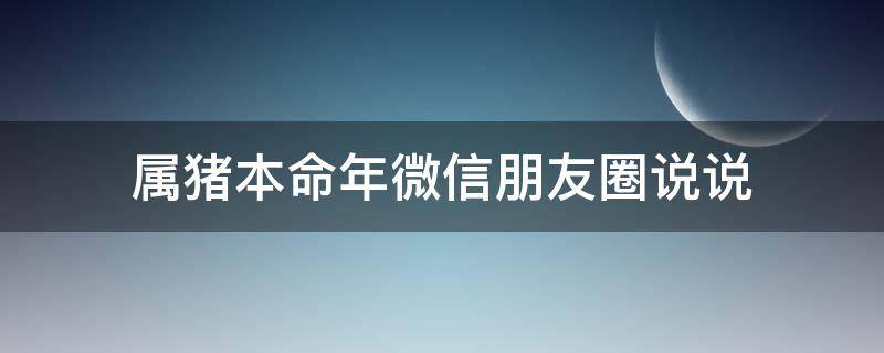 属猪本命年微信朋友圈说说（属猪本命年有什么讲究）