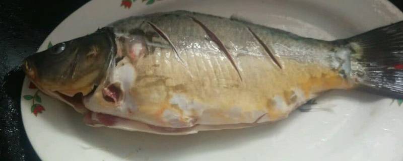 裸斑鱼有刺吗（裸斑鱼有刺吗能吃吗）