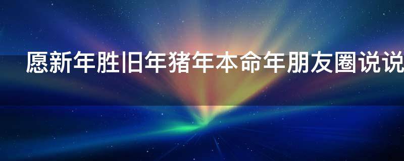 愿新年胜旧年猪年本命年朋友圈说说（新的一年本命年的说说）