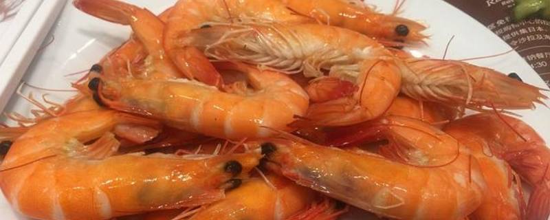 虾是什么动物（仙女虾是什么动物）