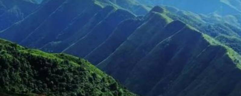 十万大山在广西哪里 十万大山在广西哪里哪个村的