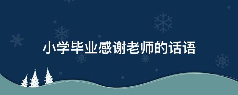 小学毕业感谢老师的话语（小学毕业感谢老师的话语简短精辟）