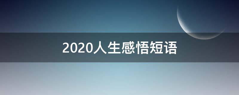 2020人生感悟短语