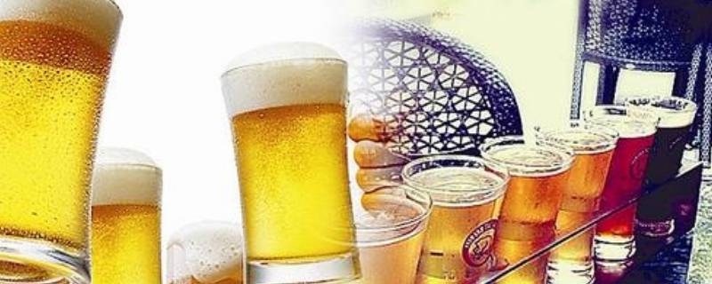 九度啤酒多少度 九度啤酒多少度酒精