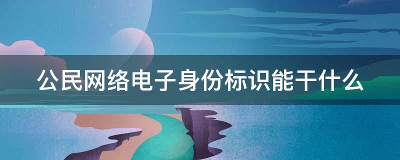 公民网络电子身份标识能干什么