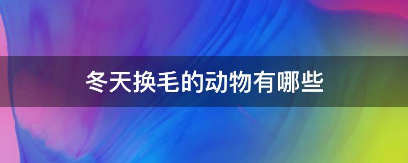 冬天换毛的动物有哪些（冬天换毛的动物有哪些动物）