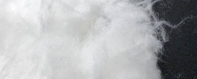 新雪丽棉是什么材质 新雪丽棉好还是羽绒好