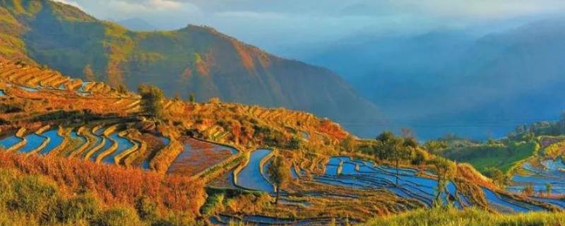 云南红河谷在什么地方 云南红河谷在哪里