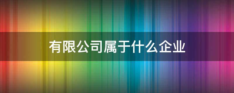 有限公司属于什么企业 私人股份有限公司属于什么企业