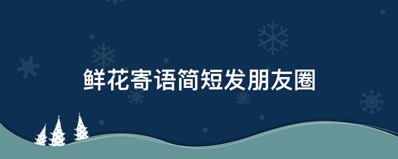 鲜花寄语简短发朋友圈（8个字浪漫寄语）