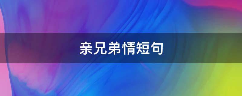 亲兄弟情短句 亲兄弟情的句子