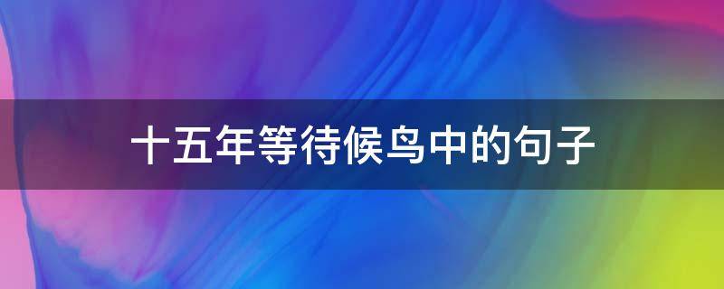 十五年等待候鸟中的句子