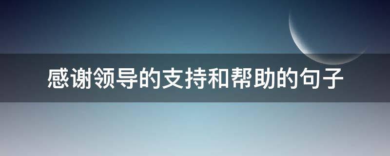 感谢领导的支持和帮助的句子（感谢领导的支持和帮助的句子 新的一年）
