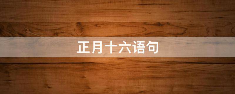 正月十六语句 正月十六的语录