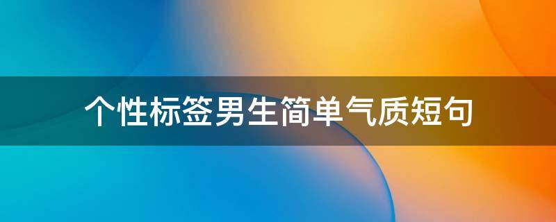 个性标签男生简单气质短句（个性标签帅气）