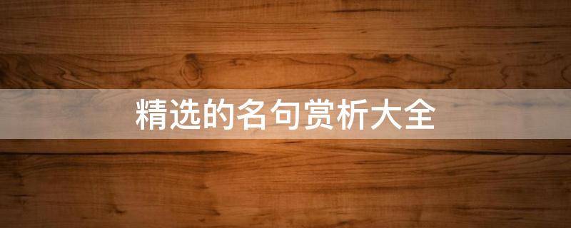 精选的名句赏析大全