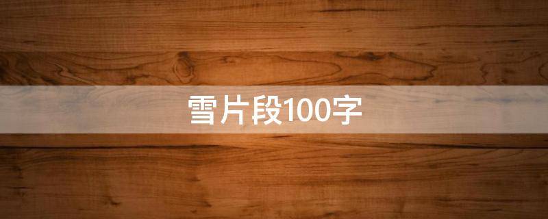 雪片段100字 雪的片段200字