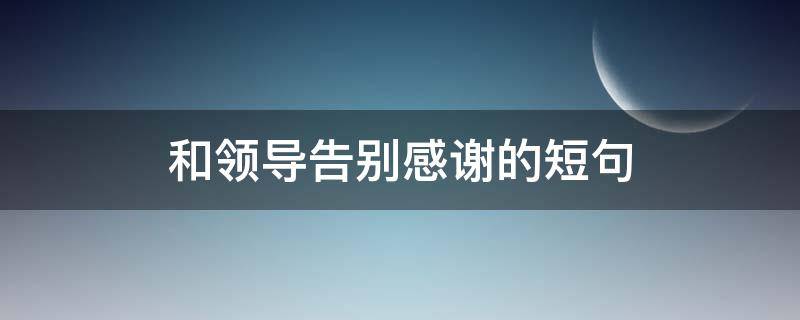 和领导告别感谢的短句 调岗和领导告别感谢的短句