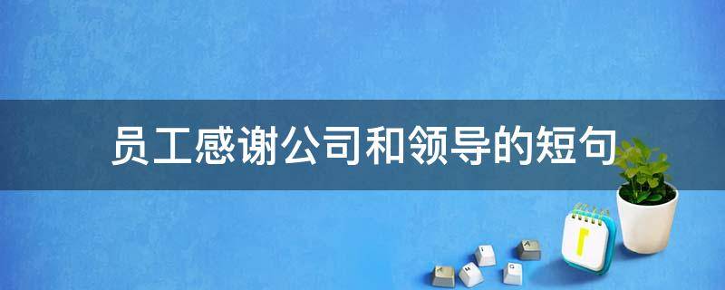 员工感谢公司和领导的短句（员工感谢公司和领导的短句文案）