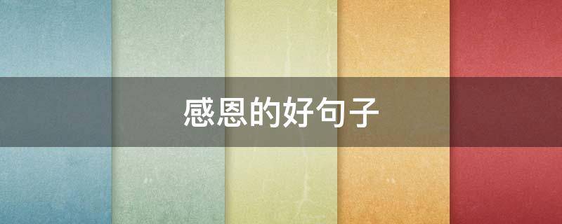感恩的好句子（感恩的好句子发朋友圈）