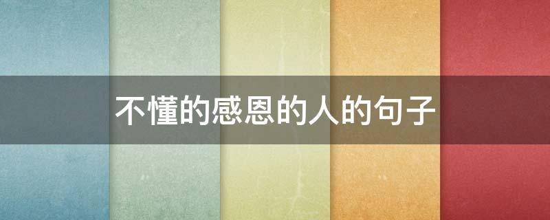 不懂的感恩的人的句子（关于不懂感恩的人的说说）