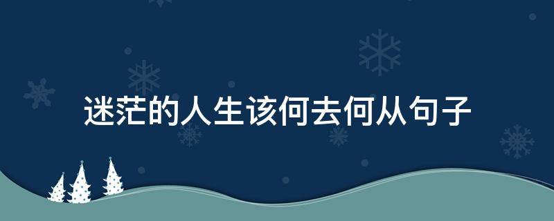 迷茫的人生该何去何从句子（迷茫的人生该何去何从说说）