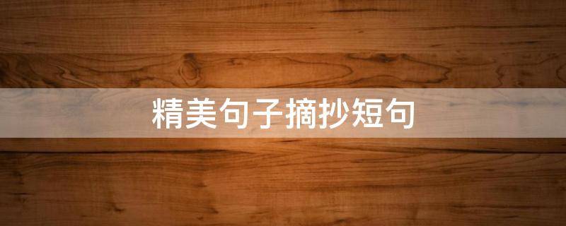 精美句子摘抄短句（初中精美句子摘抄短句）