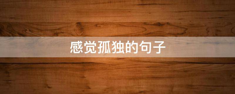 感觉孤独的句子（感觉孤独的句子唯美）