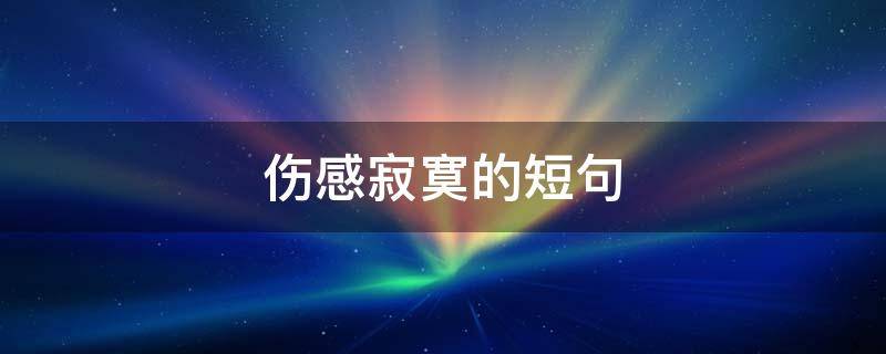 伤感寂寞的短句（伤感寂寞的句子）